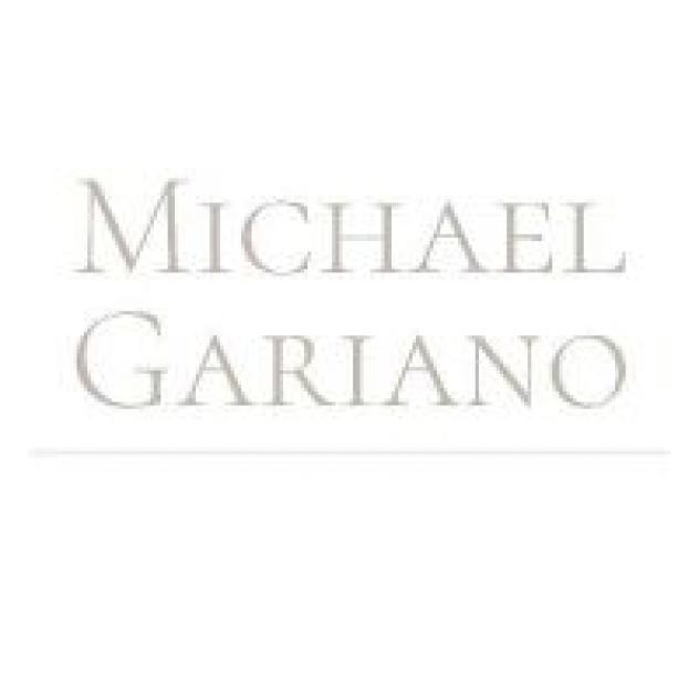 Michael Gariano - Consulente informatico, Webmaster