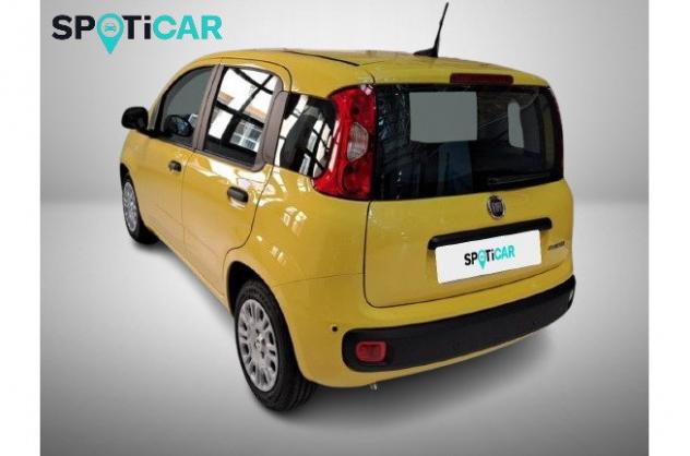 FIAT Panda Panda 1.0 FireFly S&S Hybrid - Foto 5