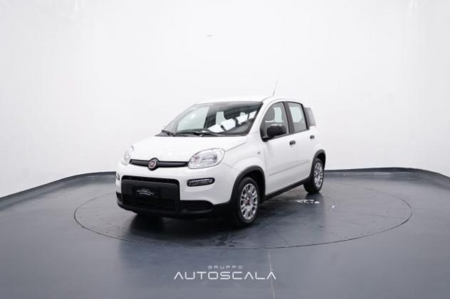 FIAT New Panda 1.0 FireFly 70cv S&S Hybrid rif. 23865446