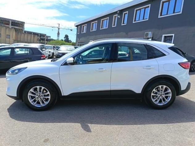 FORD Kuga 1.5 EcoBlue 120 CV aut. 2WD Titanium Business rif. 23632053