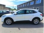 FORD Kuga 1.5 EcoBlue 120 CV aut. 2WD Titanium Business rif. 23632053