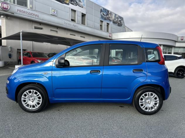 FIAT Panda Panda 1.0 FireFly S&S Hybrid - Foto 4