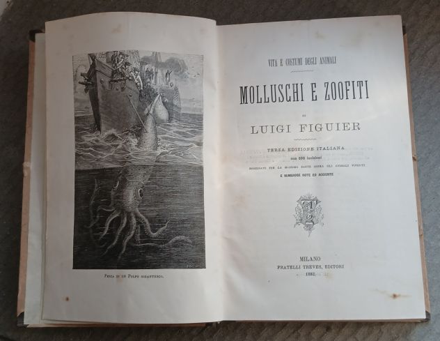 Molluschi e Zoofiti" di Luigi Figuier, Ed. F.lli Treves 1882. - Foto 2