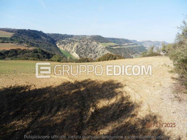 Terreno di 46370 mq in vendita a Montescaglioso - Rif. 4555042 - Foto 10