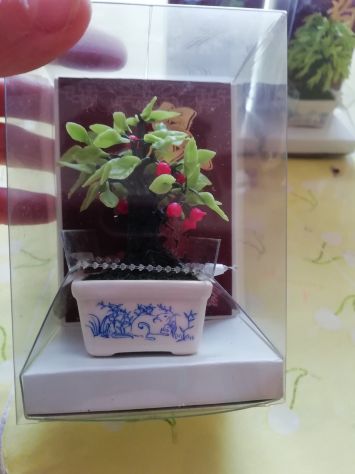 bonsai - Foto 4