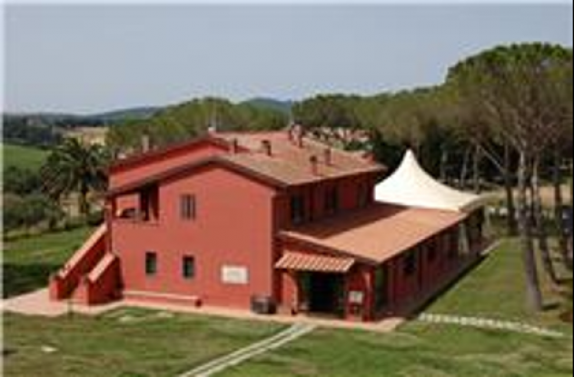 Struttura per uso commerciale in vendita a Grosseto 2800 mq Rif: 1396620 - Foto 10