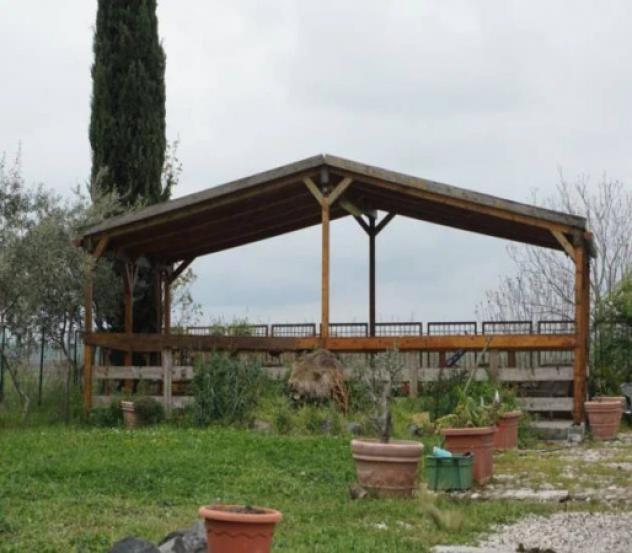 Immobile in asta di 5706 m² in vendita a Lavello - Foto 2