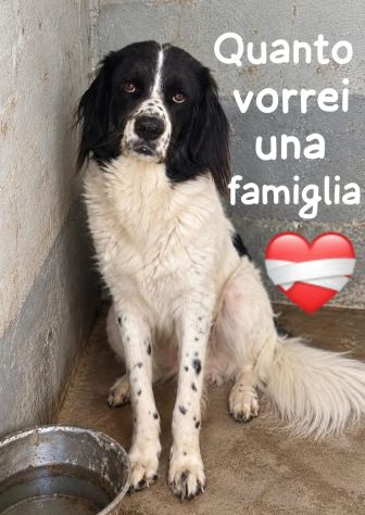 ALDO 5 ANNI - Foto 2