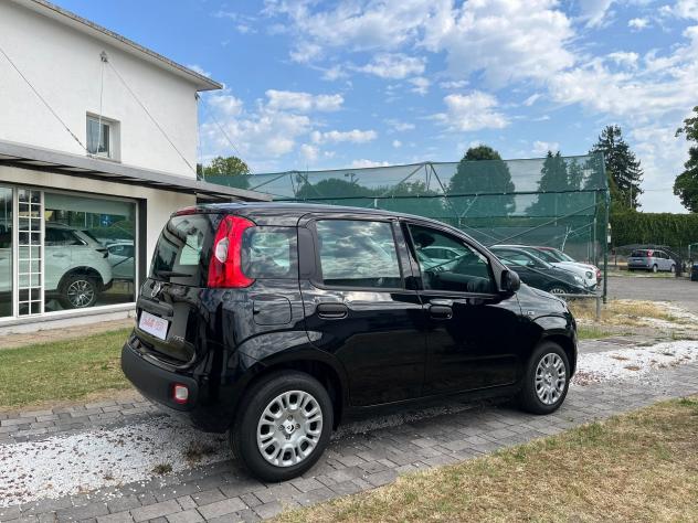 FIAT Panda 1.0 FireFly 70cv S&S Hybrid 5 posti - Foto 7