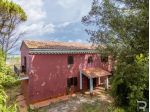 Casa singola in vendita a Fauglia 239 mq  Rif: 1417904