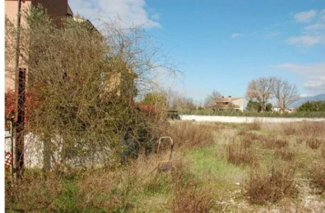Immobile in asta di 6635 m² in vendita a Cannara - Foto 8