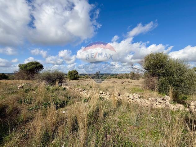 Terreno in vendita a Chiaramonte Gulfi - Foto 6