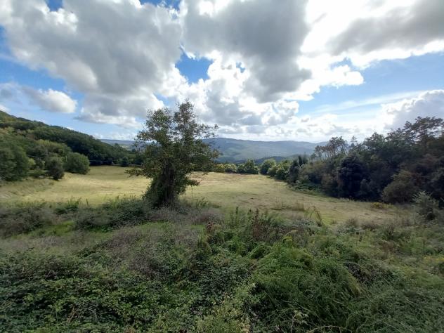 COLONICA di 10 vani e di 610 mq (GAMBASSI TERME) rif. G 850 - Foto 6