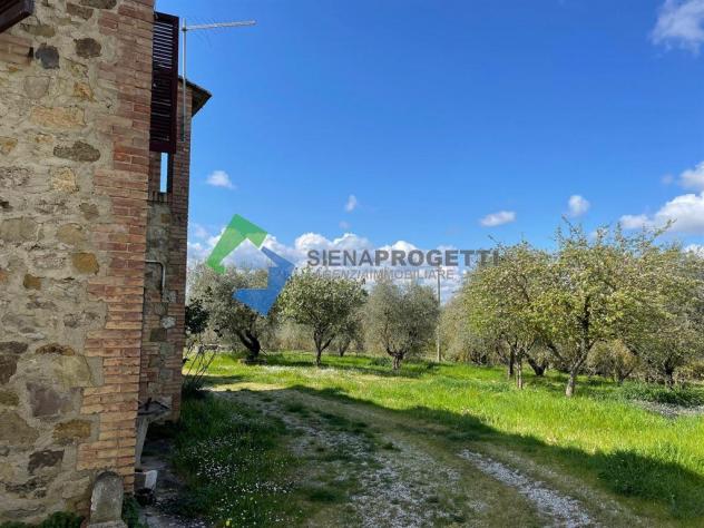 Antica colonica con azienda agricola a Castellina in Chianti, Siena. - Foto 16