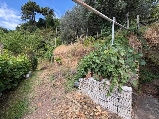 Rustico in vendita a Serra - Montignoso 140 mq Rif: 1338461 - Foto 9