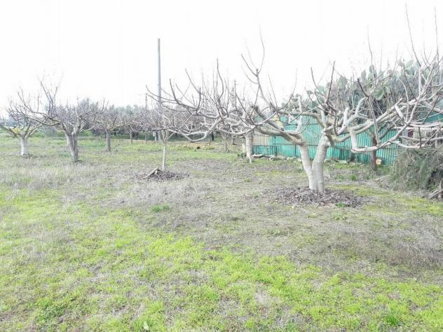 Terreno agricolo in vendita a San Frediano a Settimo - Cascina 4000 mq Rif: 887561 - Foto 3