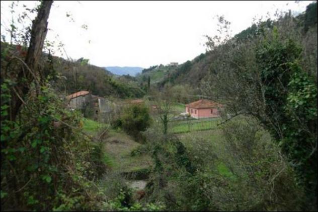 Seminativo in vendita a Fosdinovo - Foto 8