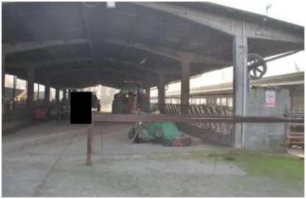 Immobile in asta di 80000 m² in vendita a Castelvisconti - Foto 7