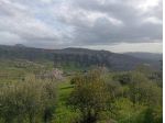 Terreno in vendita a Bronte