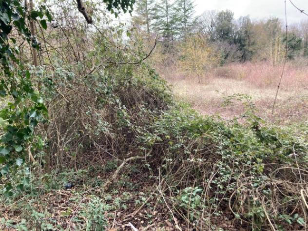 Immobile in asta di 1420 m² in vendita a Terni - Foto 4