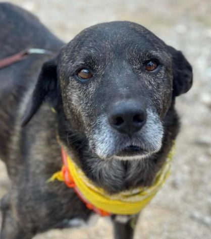 Igor per 10 anni ha vissuto da solo in una campagna - Foto 3