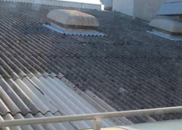 Immobile in asta di 32354 m² in vendita a Monselice - Foto 2