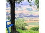 Case Leonori