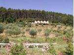 Rustico ccomp 990 - Rustico con piscina