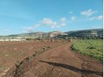 Terreno Edificabile in vendita a Comiso