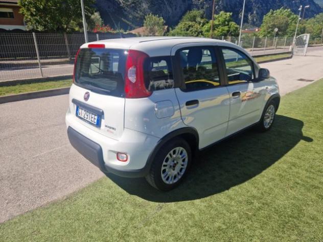 FIAT Panda 1.0 FireFly S&S Hybrid rif. 23632180 - Foto 5