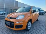 FIAT - Panda - 1.2 Easy