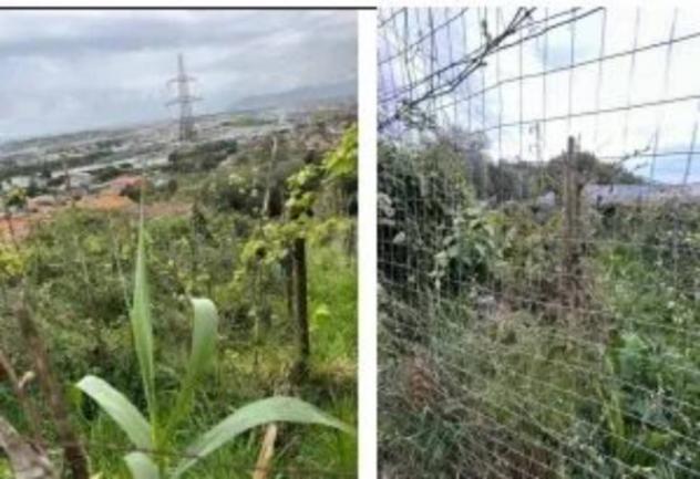 Immobile in asta di 590 m² in vendita a Massa - Foto 5
