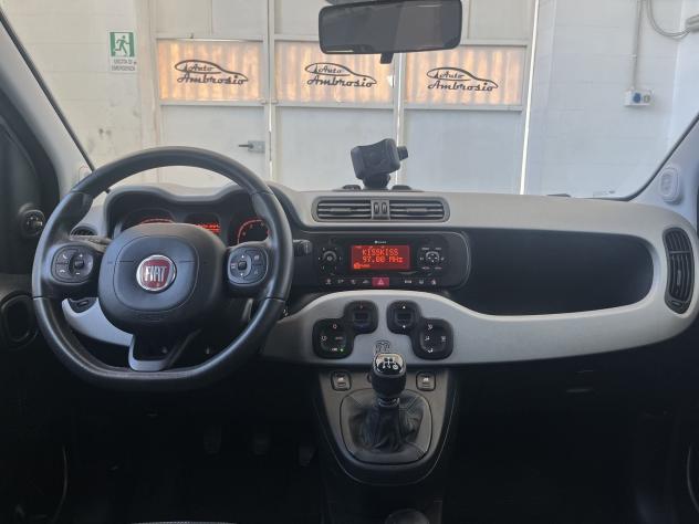 FIAT Panda Cross 1.2 69cv S&S Cross TUA DA 119,00 AL MESE - Foto 7
