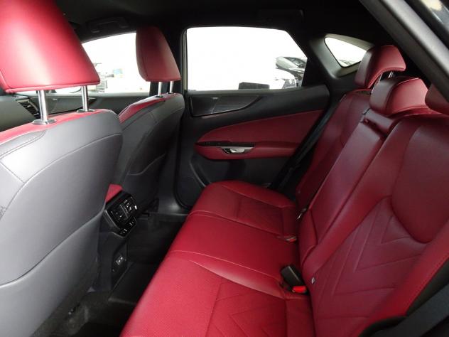 Lexus NX Plug-in 4WD Luxury - Foto 9