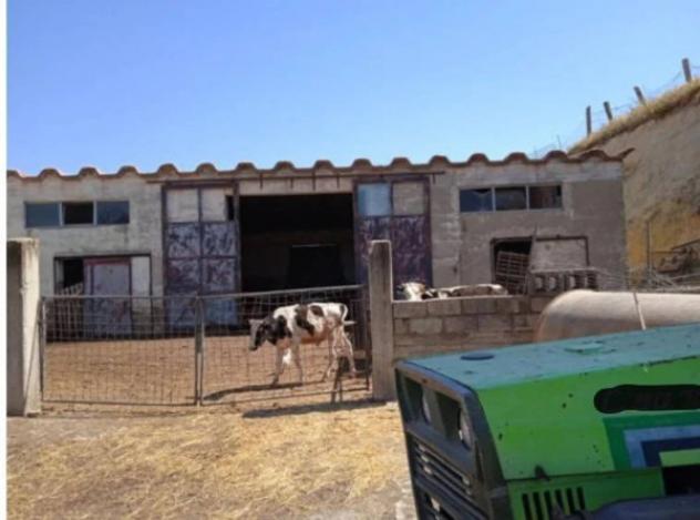 Immobile in asta di 113 m² in vendita a Acerenza - Foto 5