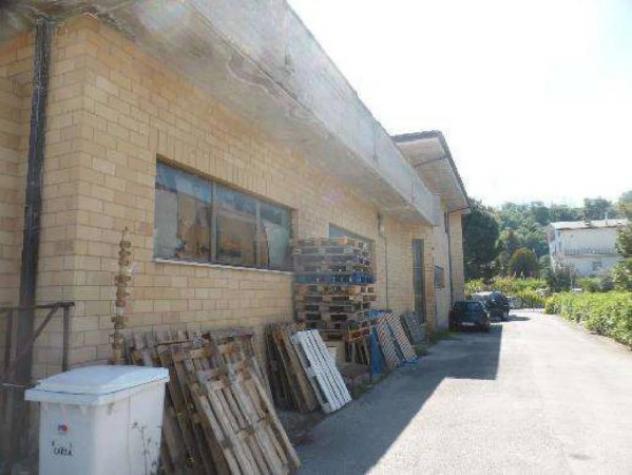 Immobile in asta di 828 m² in vendita a Sant'Elpidio a Mare - Foto 6