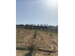 Terreno in vendita a Caltagirone