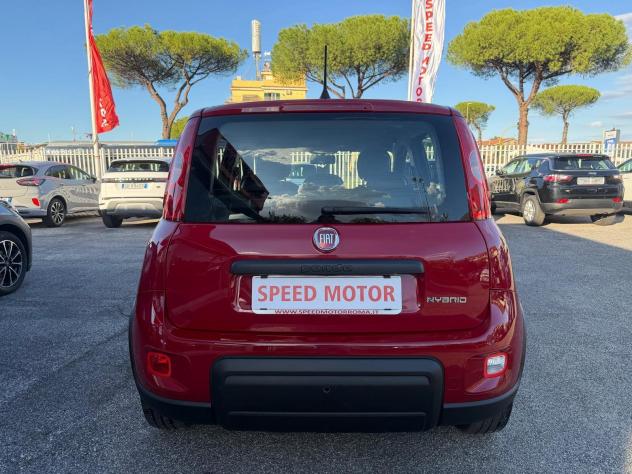 FIAT Panda Panda 1.0 firefly hybrid 70cv 5 POSTI, PRONTA CONSEGNA! - Foto 5