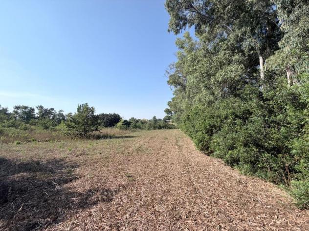 Agricolo in vendita a Aprilia - Foto 10