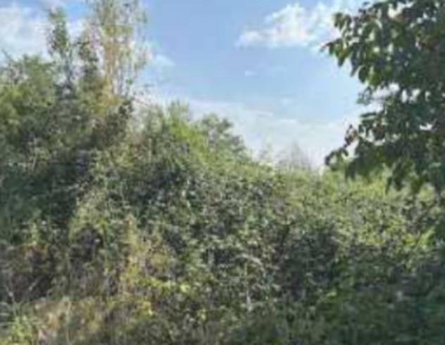 Immobile in asta di 2 m² in vendita a Desenzano del Garda - Foto 2