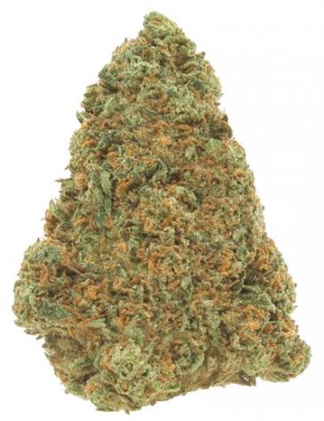 Bubblegum OG