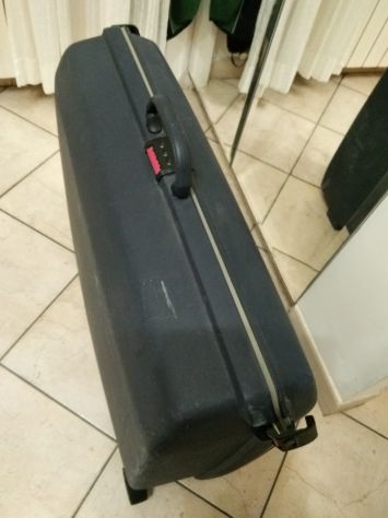 Samsonite fortunata