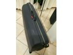 Samsonite fortunata