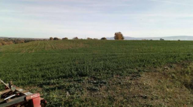 Immobile in asta di 717 m² in vendita a Viterbo - Foto 3