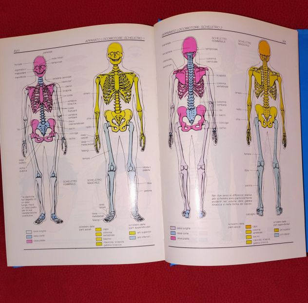 Enciclopedia della Medicina , De Agostini. - Foto 6