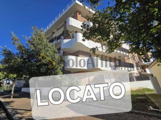 Monolocale in affitto a Roma