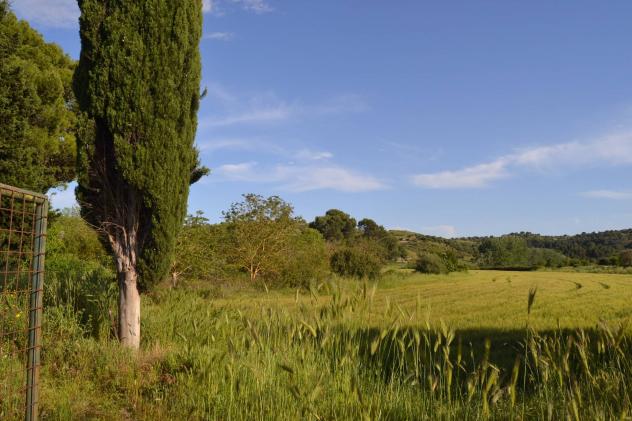 Terreno in vendita a Rosolini - Foto 4