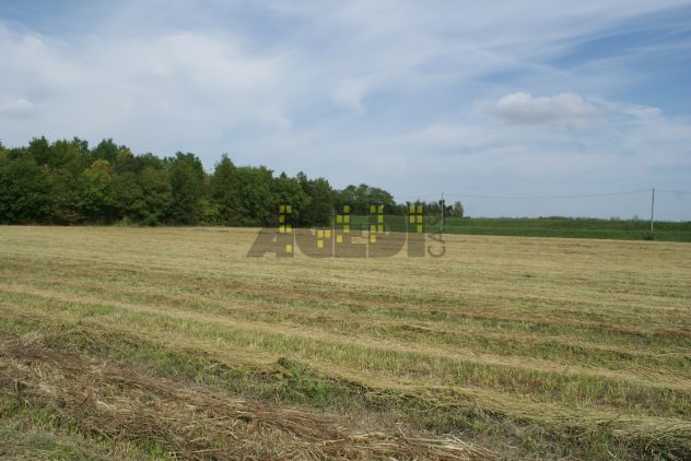AEROPORTO MARCO POLO – VENEZIA / TESSERA - Foto 3