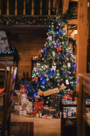 FOTOGRAFO E VENDITA FOTO CASA DI BABBO NATALE - Foto 2