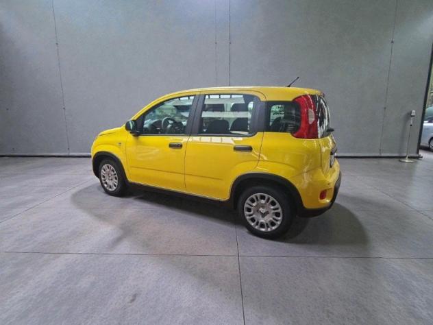 FIAT Pandina Pandina 1.0 FireFly 65 CV Hybrid Cross - Foto 4